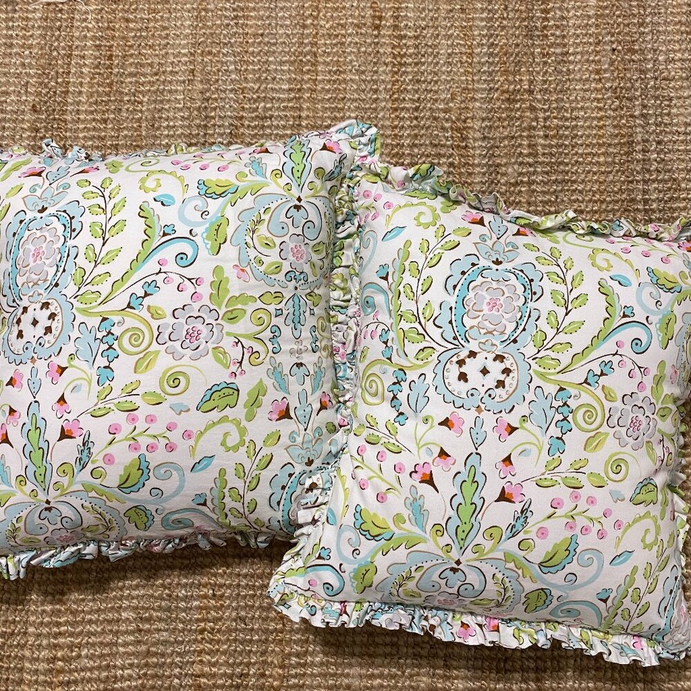 2 Decorative Throw Pillows